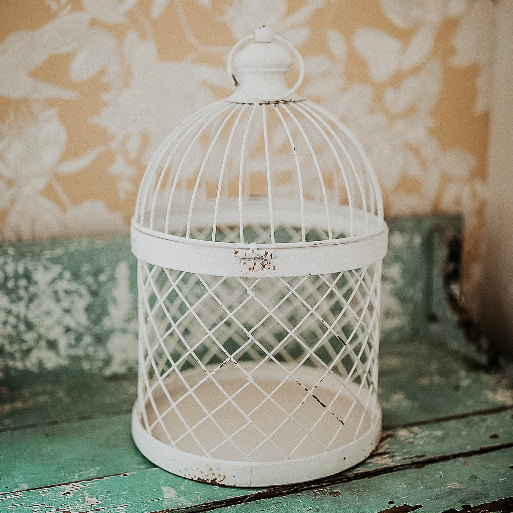 Decorative Birdcage