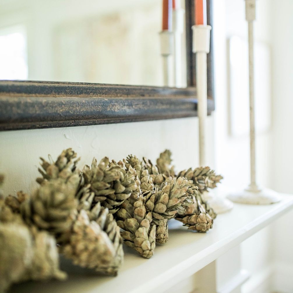 Frosted Sage Pinecone Garland