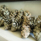 Frosted Sage Pinecone Garland