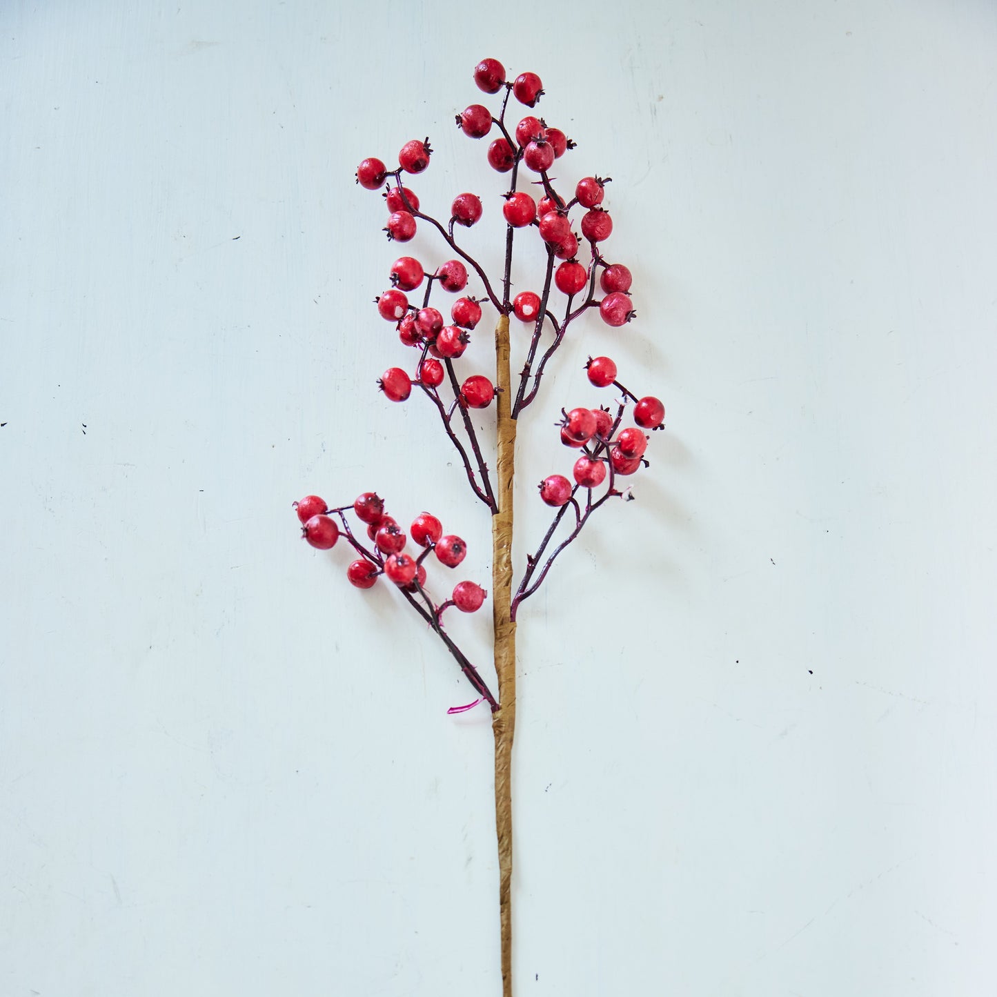 Red Berry Stem