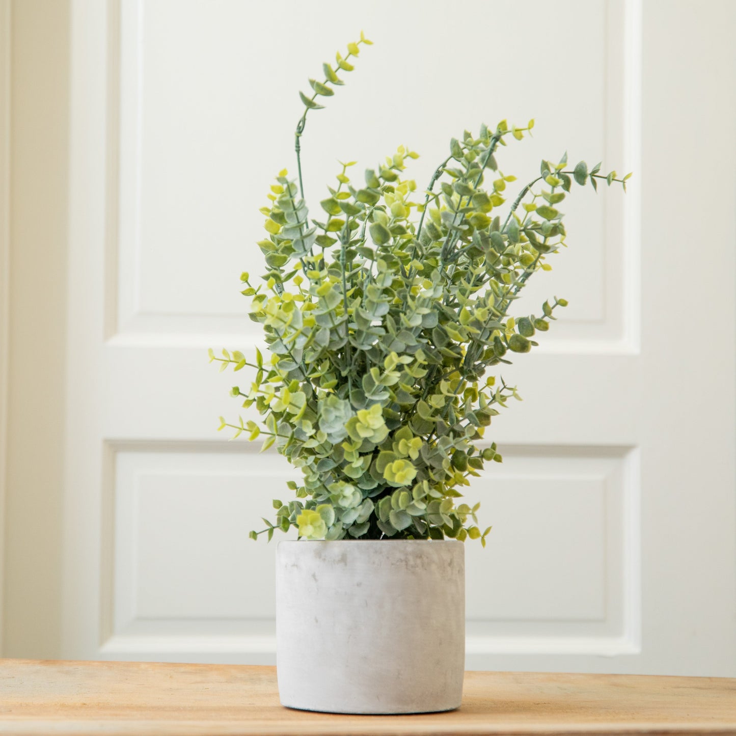 Artificial Boxwood in a Cement Pot