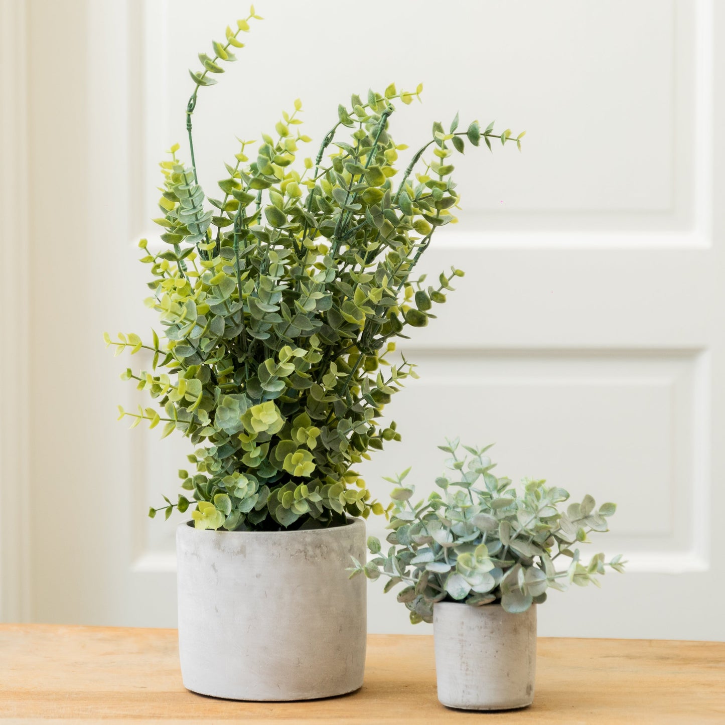 Artificial Boxwood in a Cement Pot