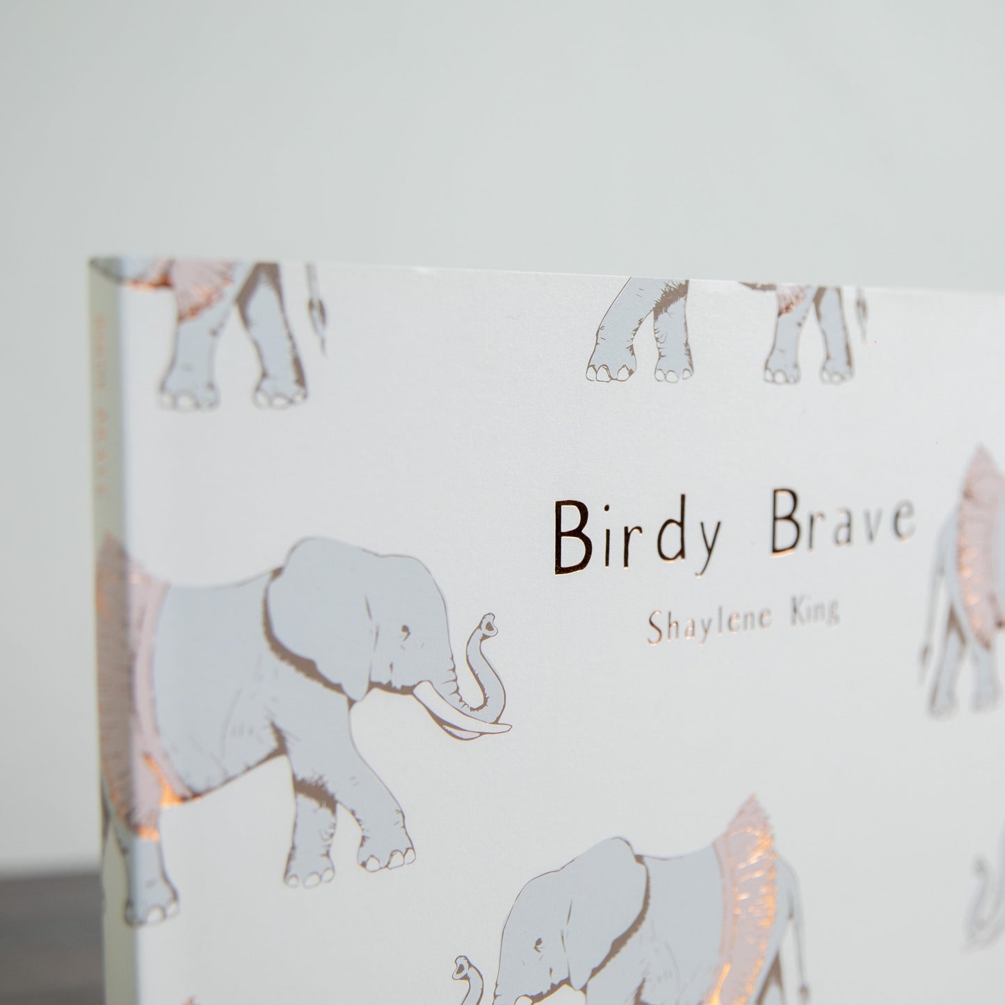 Birdy Brave Book