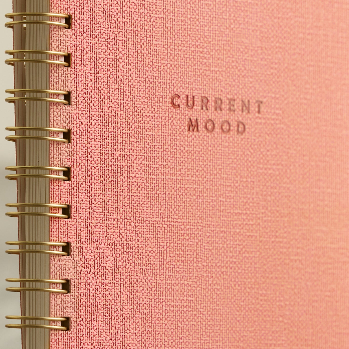 Pink "Current Mood" Notebook