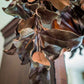 Bronzed Magnolia Leaf Garland