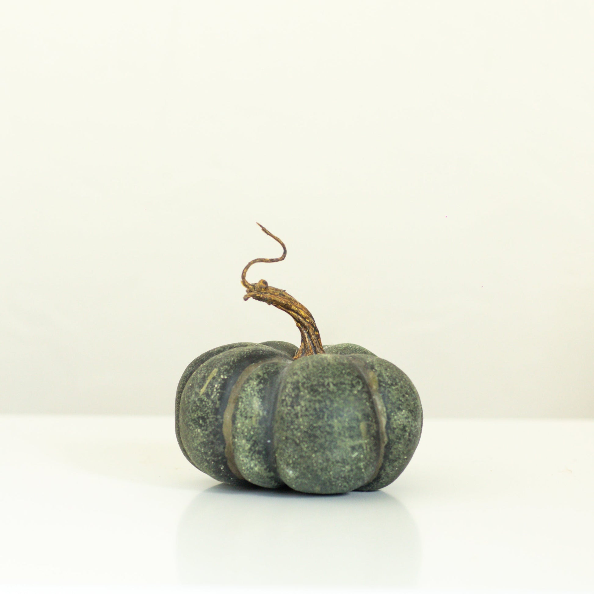 Green Heirloom Pumpkin, 6 Sizes – Smallwoods