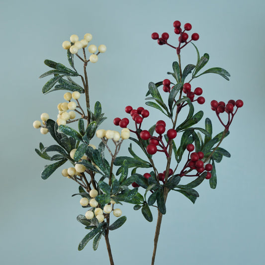 Leaf Branch with Berries