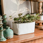 White Cement Planters