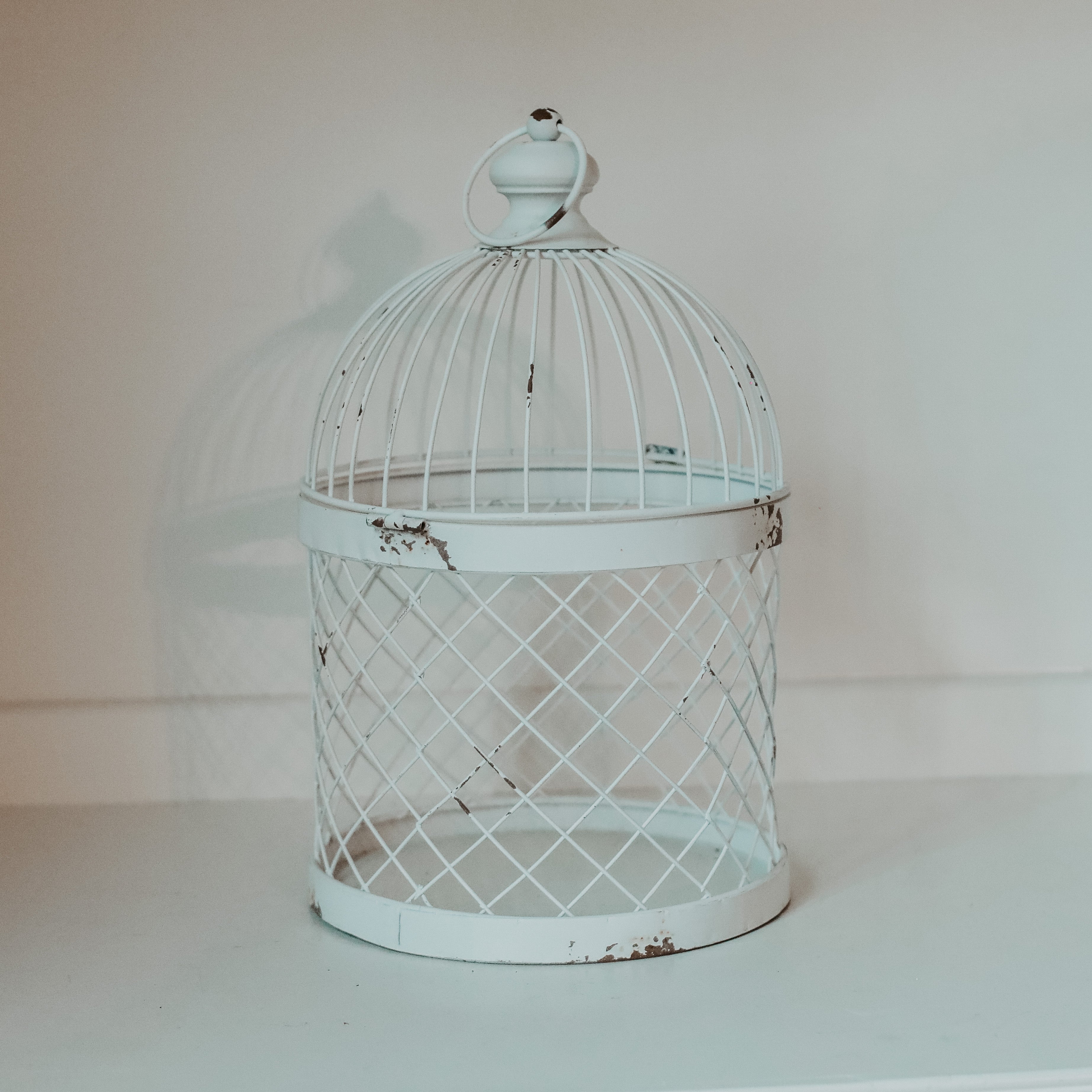 White, Bird Cage, Hanging, Floral, 2024 Decorative, 19