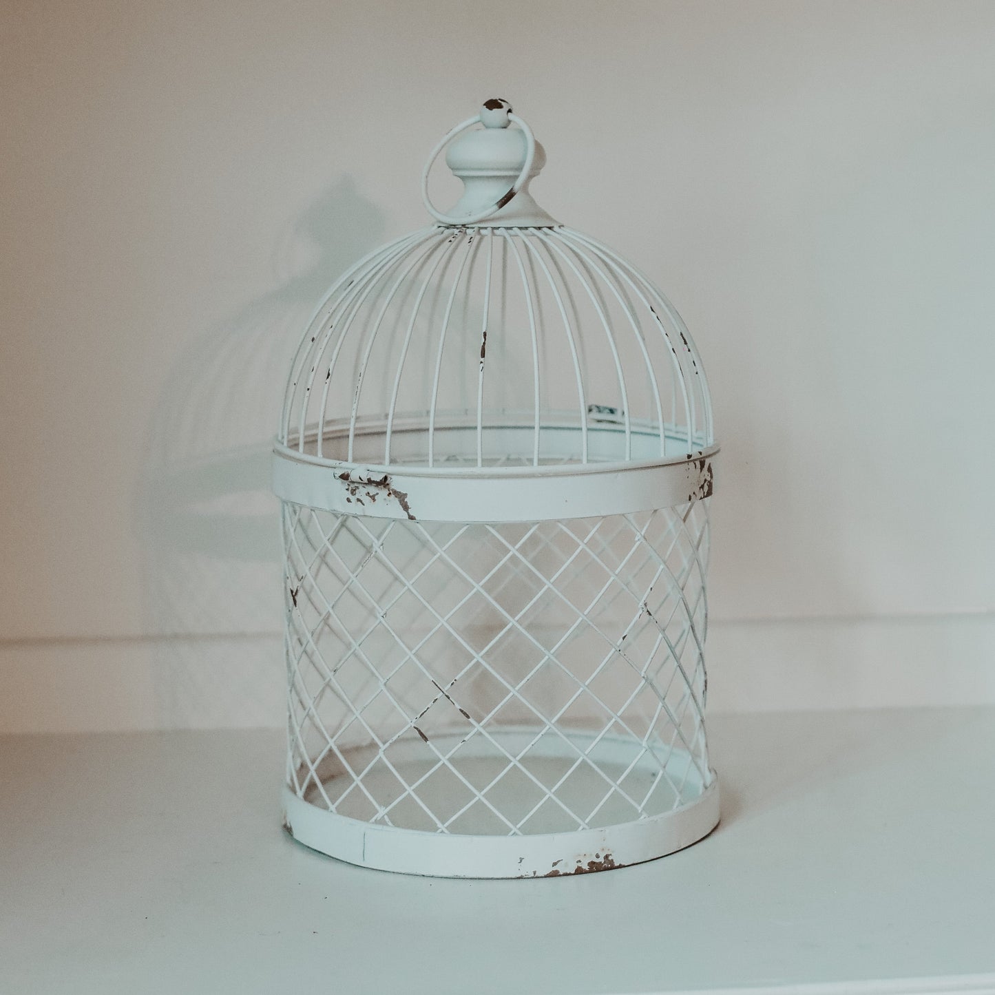 Decorative Birdcage