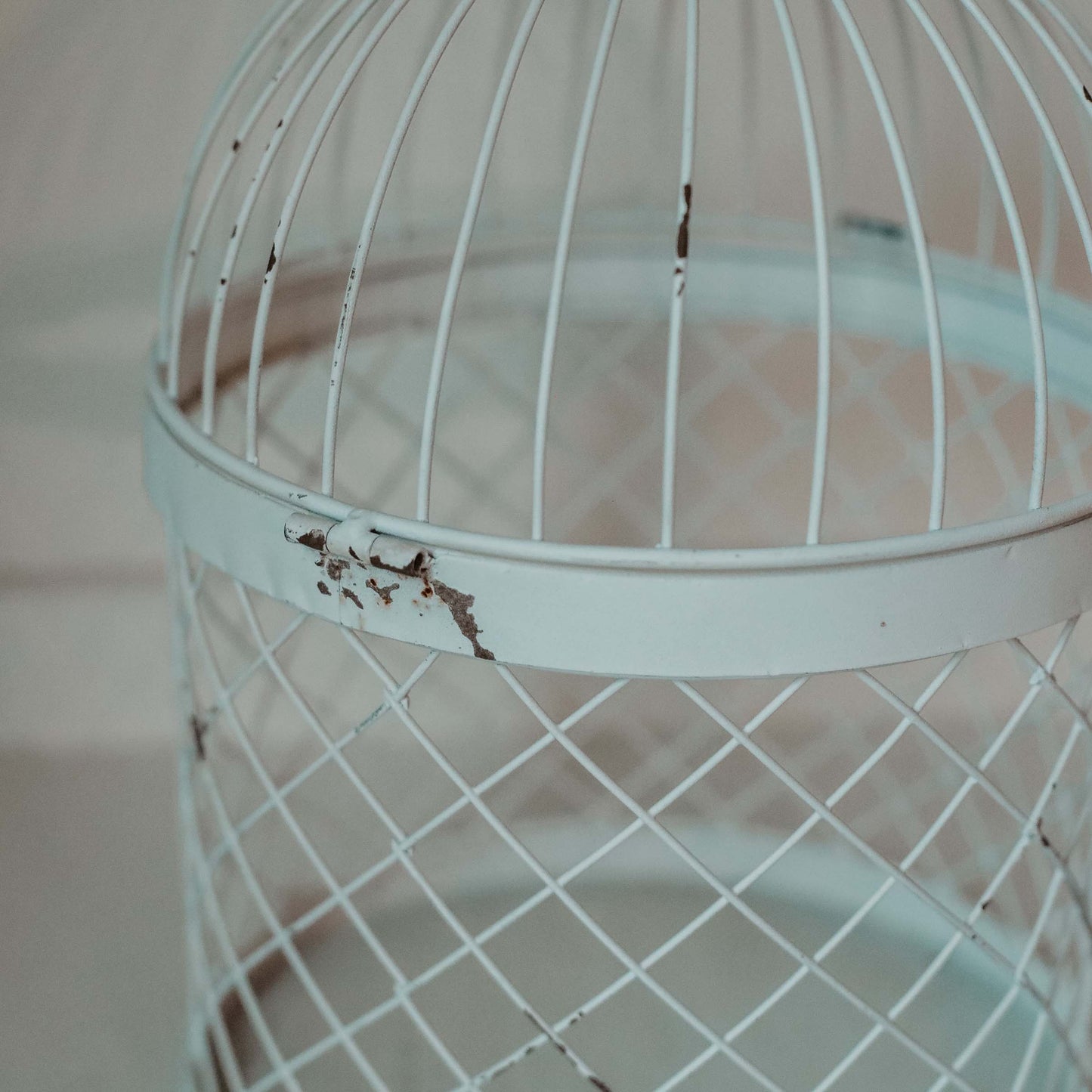 Decorative Birdcage