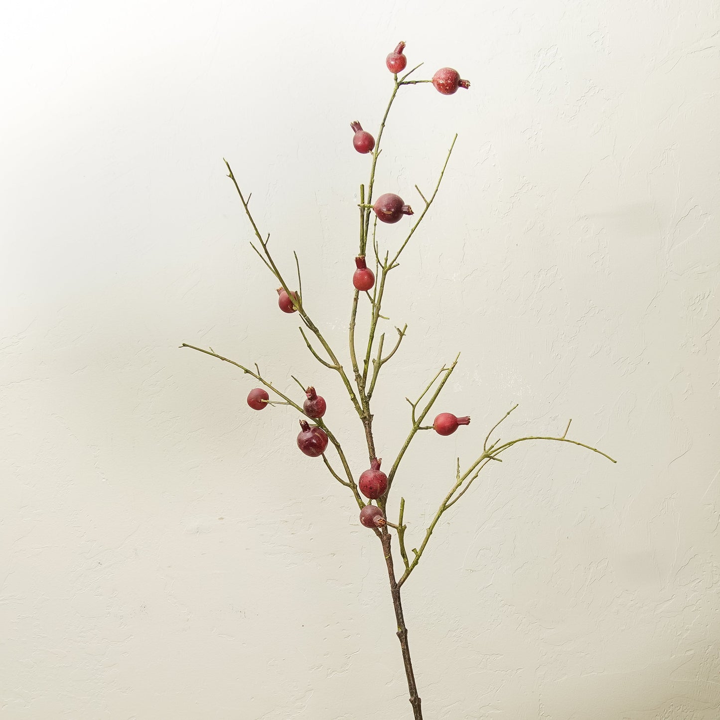 Pomegranate Branch