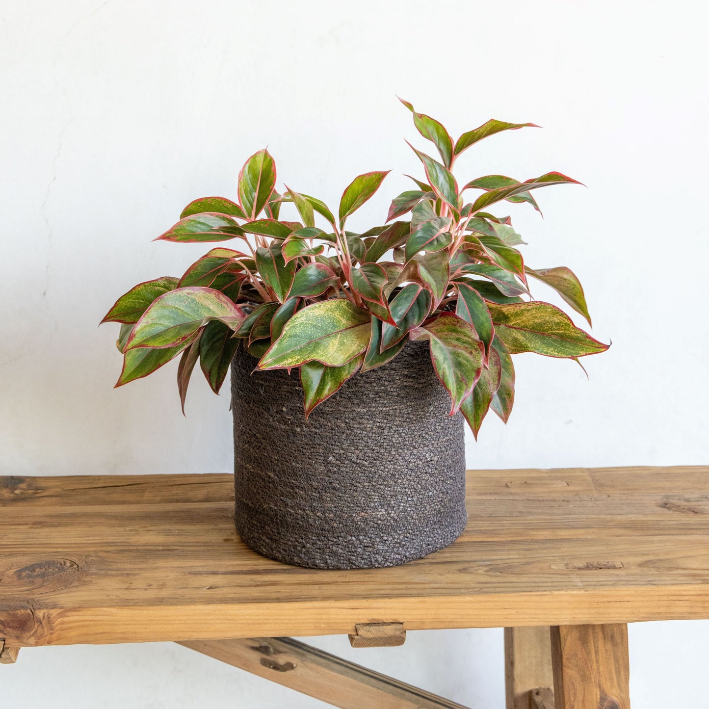 Woven Seagrass Basket with Lining