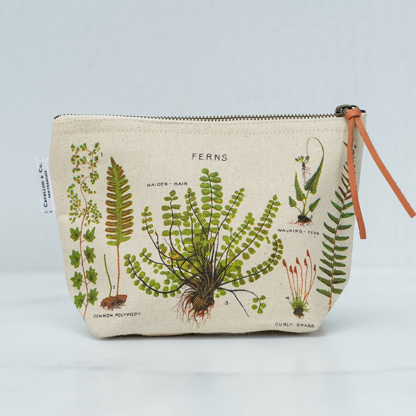 Vintage Ferns Zip Pouch