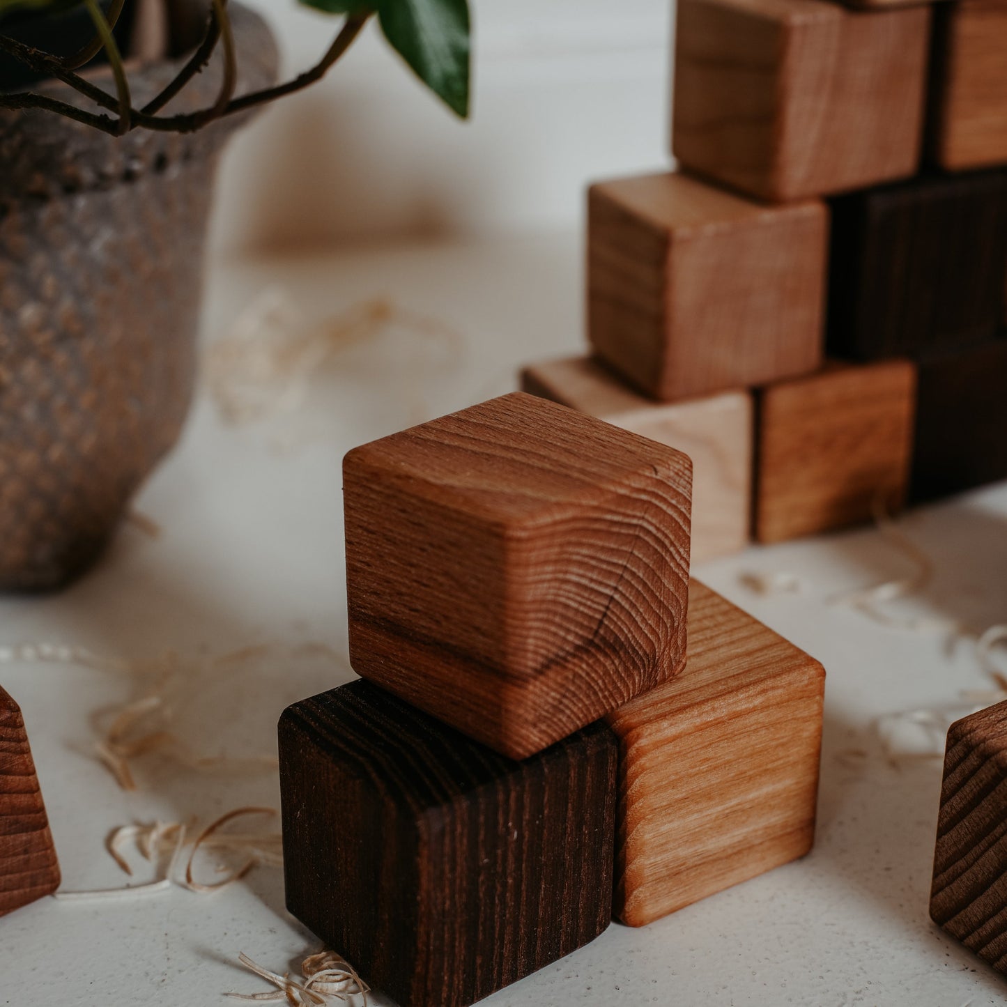 Classic Wooden Blocks for Toddlers From 5 Types of Wood, 20pc