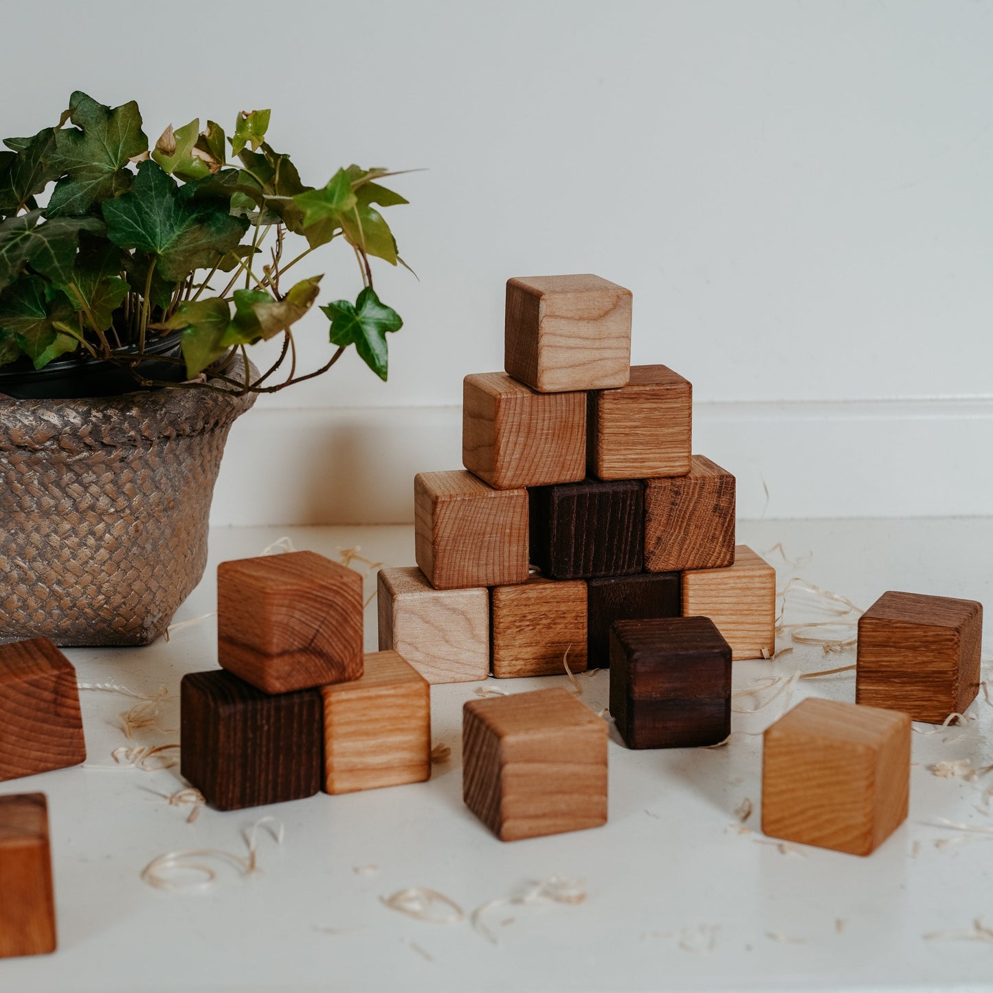 Classic Wooden Blocks for Toddlers From 5 Types of Wood, 20pc