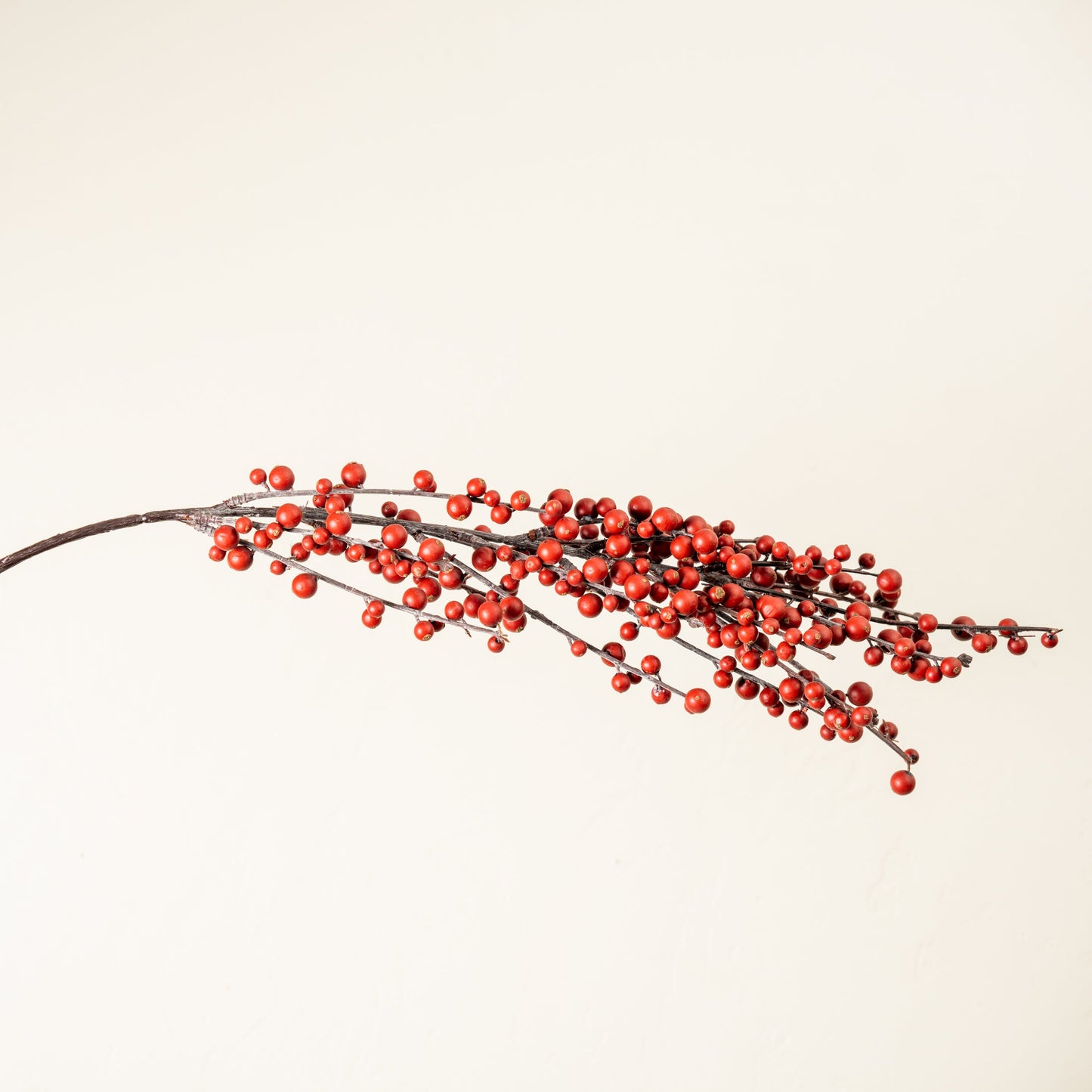 Ilex Berry Spray