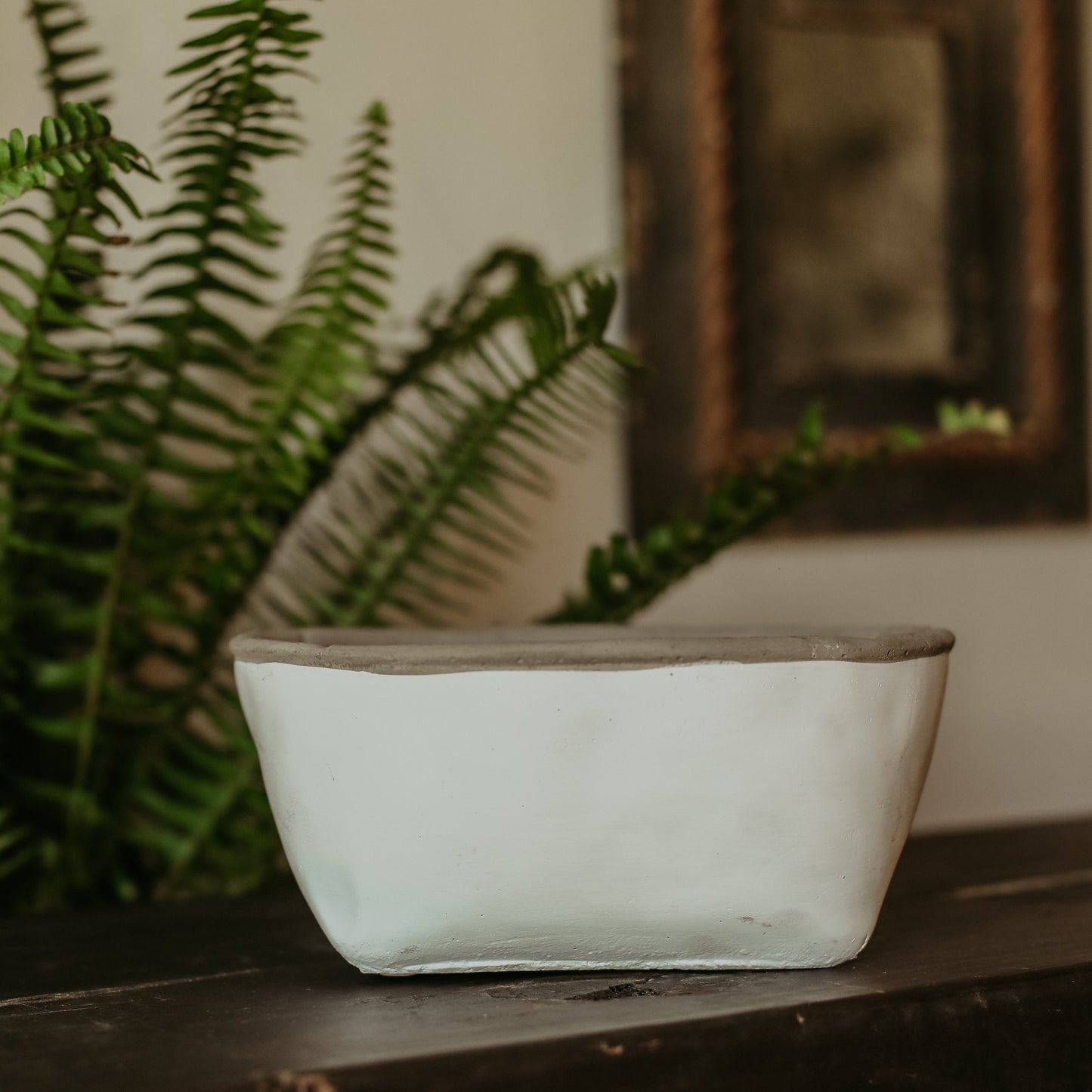 White Cement Planters