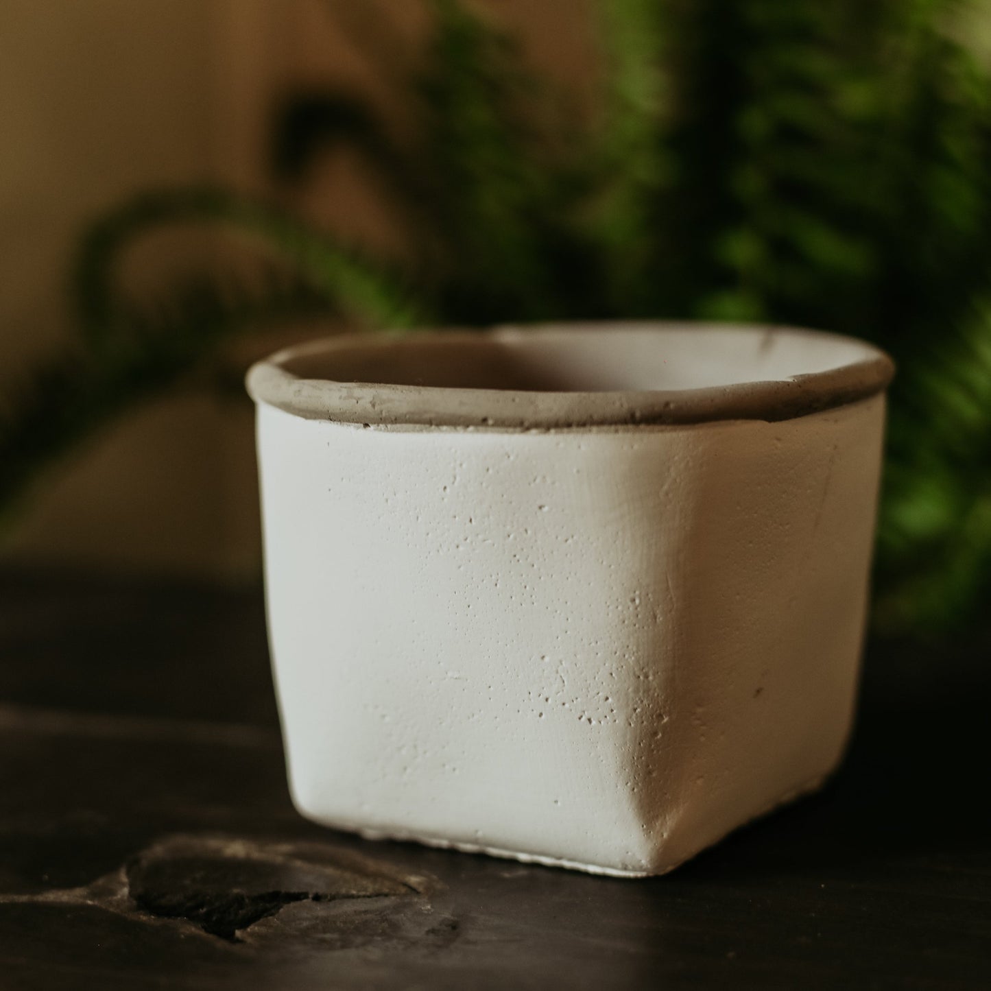 White Cement Planters