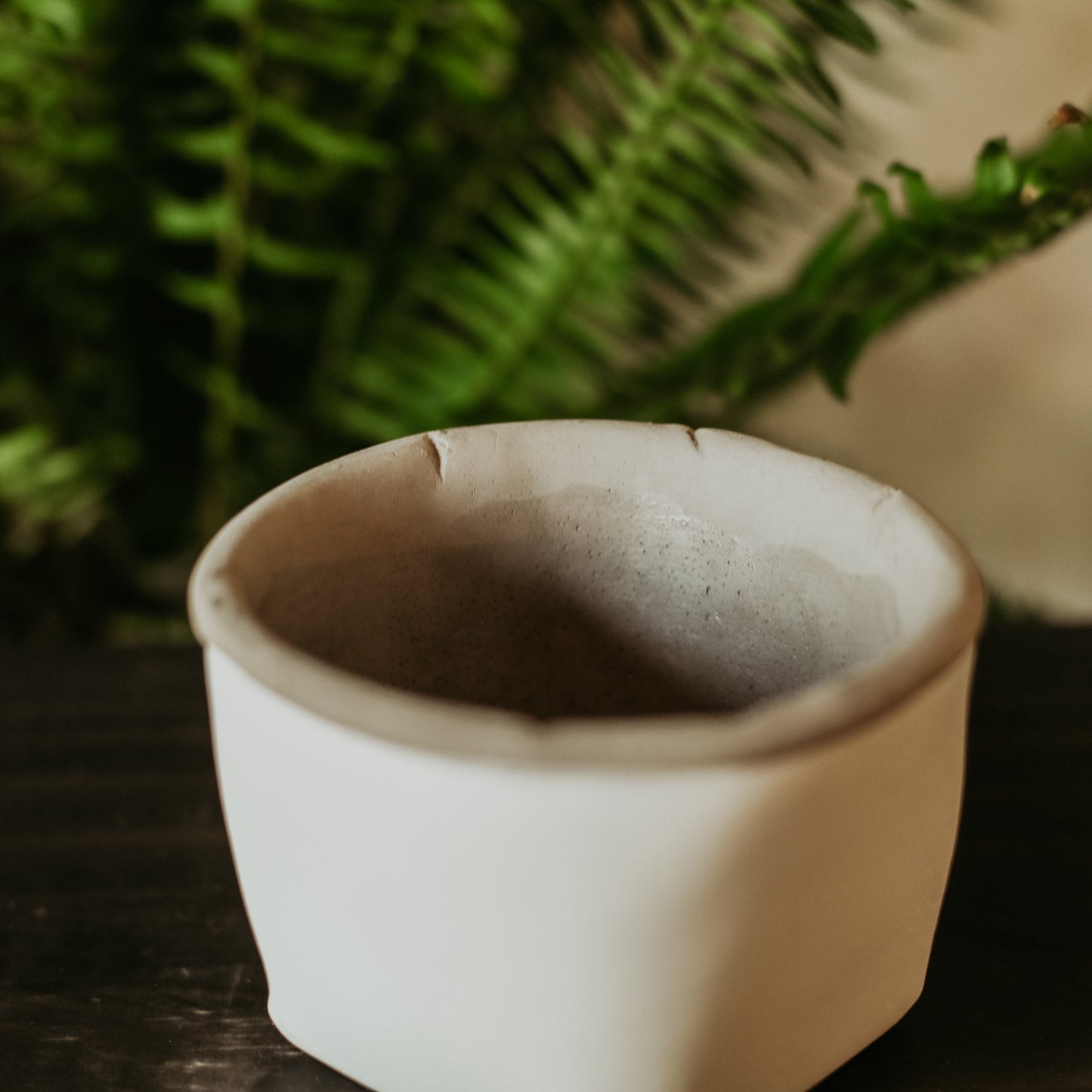 White Cement Planters