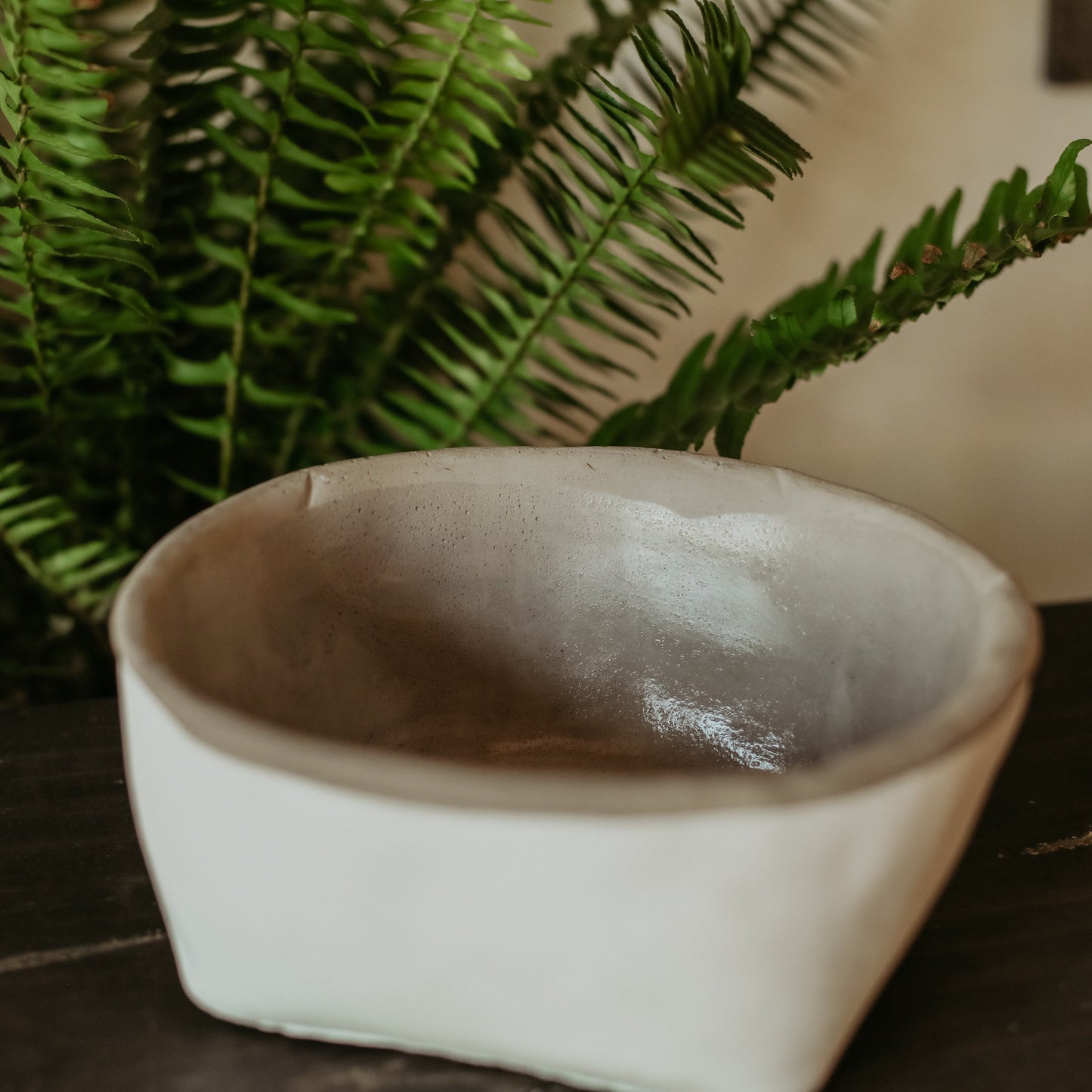 White Cement Planters