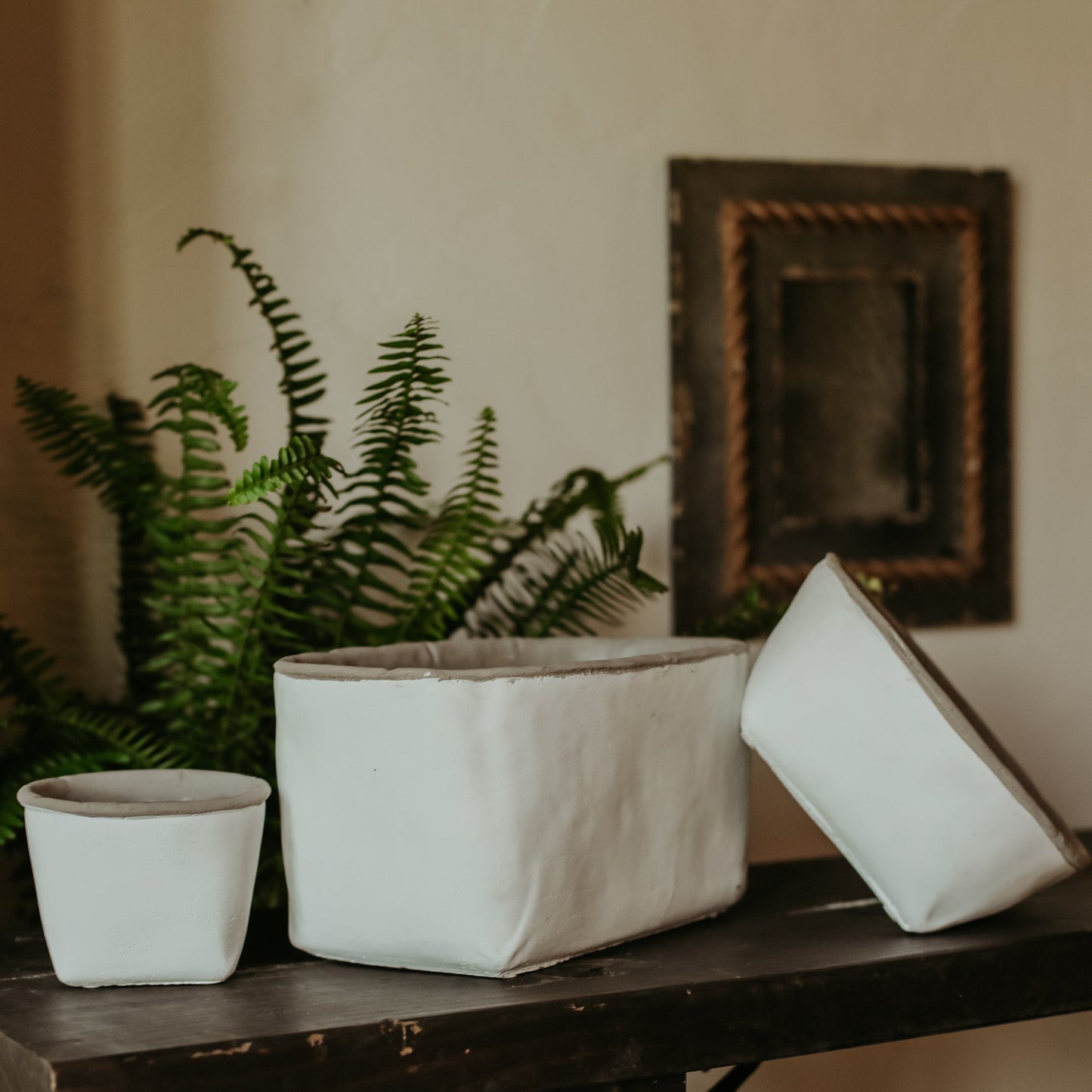 White Cement Planters