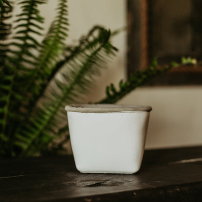 White Cement Planters